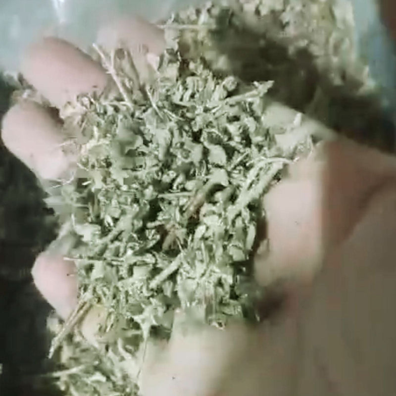 Menthe Sauvage - Tisane Calament Digestive et Rafraîchissante