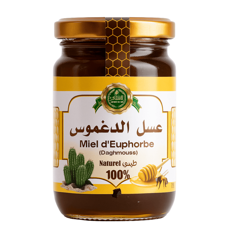 Miel d’Euphorbe Daghmous du Sahara – Pur & Naturel - nilabeautys.com