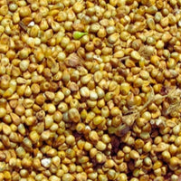 Millet Chandelle Entier – Céréale Nutritive et Sans Gluten - nilabeautys.com