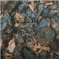Moql Azrak – Makal Bleu | Commiphora Mukul Gugal Pur (مقل أزرق) - nilabeautys.com