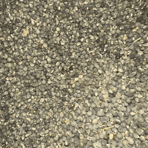 Mouloukhia (Grains de Gambos / Mauve) – ملوخية Authentique - nilabeautys.com