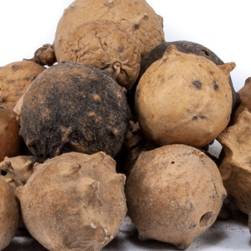 Noix de Galle 50g 100g 250g
