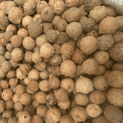 Noix de Galle – El Afssa 3afssa Colorant Naturel - nilabeautys.com