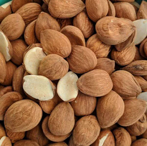 Aprikosenkern 50g | 100g | 200g | Ein natürlicher Schatz für Entzündungsresistenz und Vitalität 
