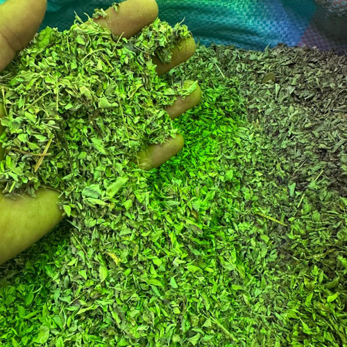 Origan Zaatar 50g / 100g / 200g – Herbe Aromatique Naturelle - nilabeautys.com