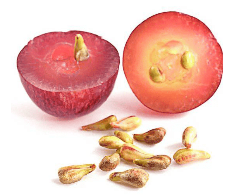 Pépins de Raisin Naturels - nilabeautys.com