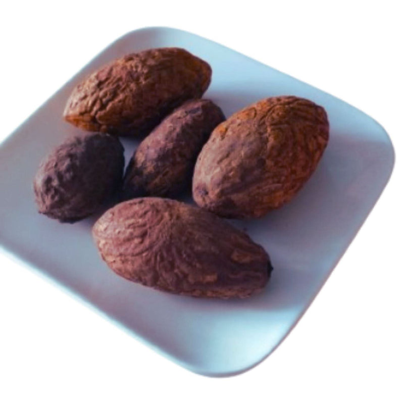 Pierre de Protection Oud El Salib - عود الصليب Pur - 1 pièce - nilabeautys.com