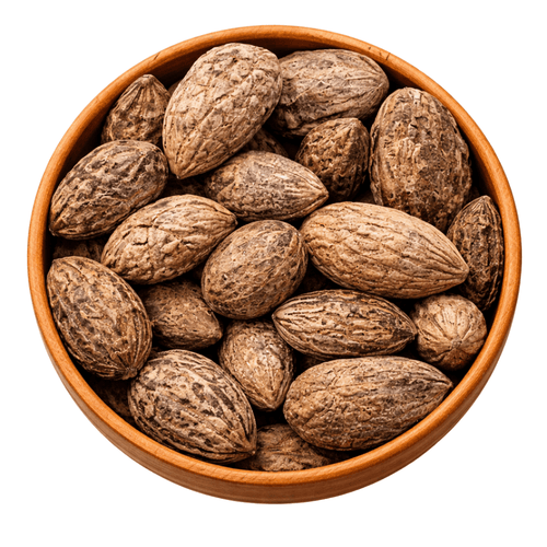 Pierre de Protection Oud El Salib – Encens Naturel de Fumigation - nilabeautys.com