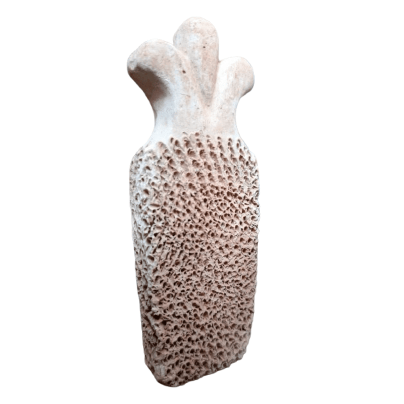 Pierre Ponce Naturelle en Argile Cuite - nilabeautys.com