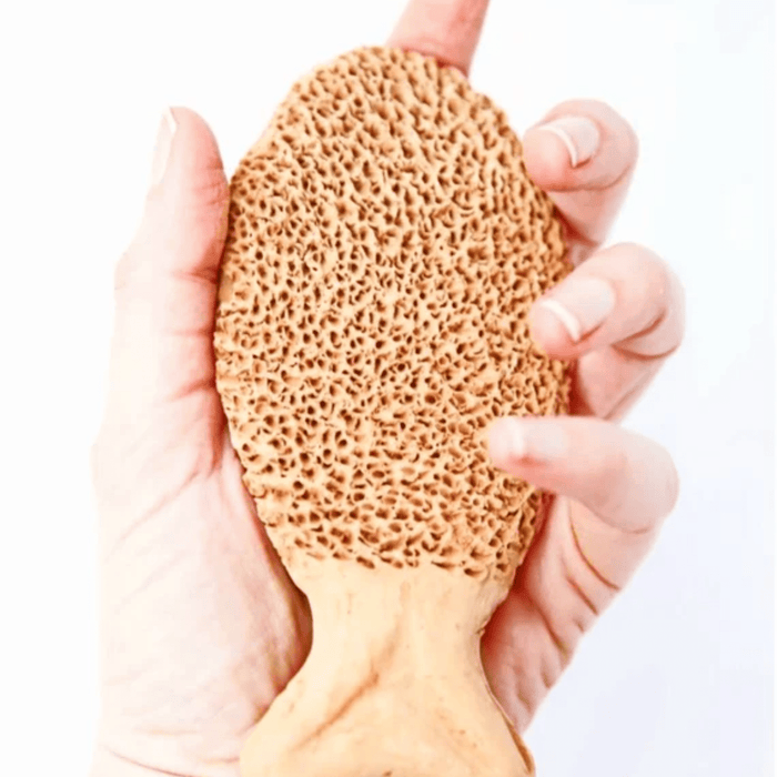 Pierre Ponce Naturelle en Argile Cuite - nilabeautys.com