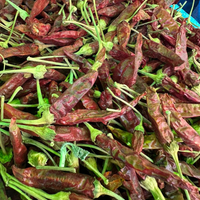 Piment Séché Rouge Soudania 50g / 100g / 200g – Épice Piquante Naturelle - nilabeautys.com
