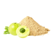 Poudre d’Amla BIO 1 Kg – Soin Ayurvédique Régénérant Cheveux & Peau - nilabeautys.com