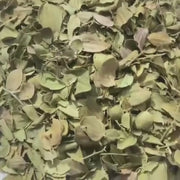Feuilles de Jujubier (Sidr) du Maroc