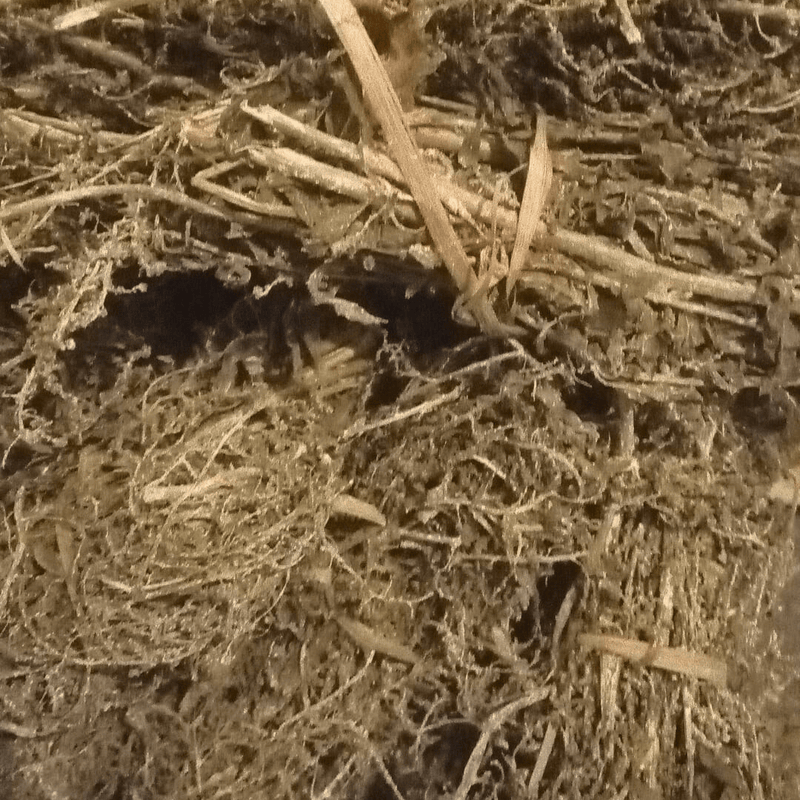 Rabta El Mkhinza – Chénopode Fausse Séché 50g - nilabeautys.com