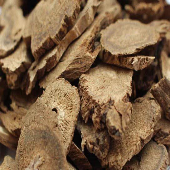 Costus marin Indien | Al Qisst 1kg