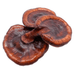 Reishi (Ganoderma lucidum) – Champignon Médicinal Pur - nilabeautys.com