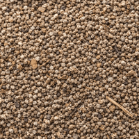 Sakarane 20g – Sekarane (Jusquiame) | Fumigation Traditionnelle - nilabeautys.com