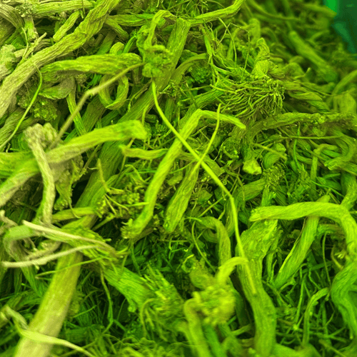 Sarghina Marocaine Originale 50g / 100g / 200g – Tasrghint Takandicht Premium - nilabeautys.com