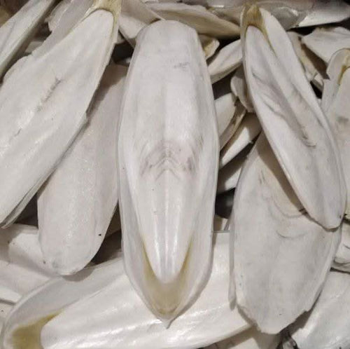 Sepion | Lisan Al Bahr | 100 % natürlich | 50g | 100g | 200g 