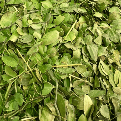 Sidr Feuille de Jujubier Sadra 50g / 100g / 200g – Soin Cheveux Naturel - nilabeautys.com