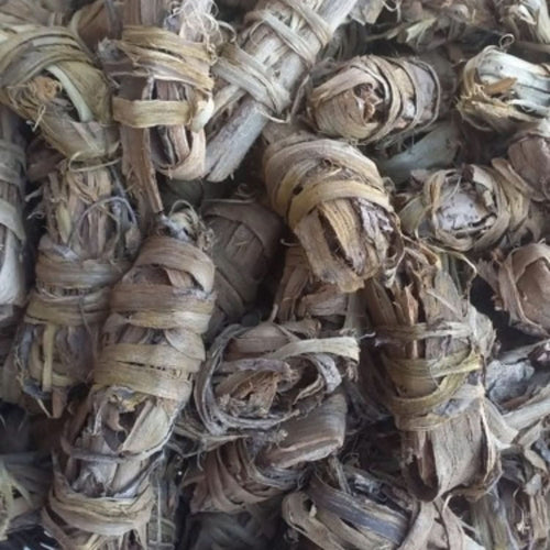 Siwak Marocain