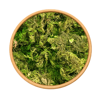 Sonbol Nardin Valériane 50g / 100g / 200g – Plante Naturelle Relaxante - nilabeautys.com
