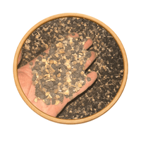 Staphisagria – Hebat El Rass حبة الراس - nilabeautys.com