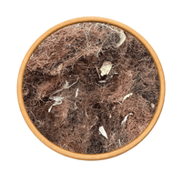 Stigmates de Maïs 100g / 200g / 500g / 1000g – Tisane Naturelle & Soin Cheveux - nilabeautys.com