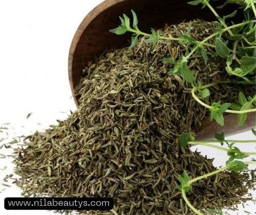Thym du Maroc (Zaâitra) - Herbe Aromatique de Tafraout