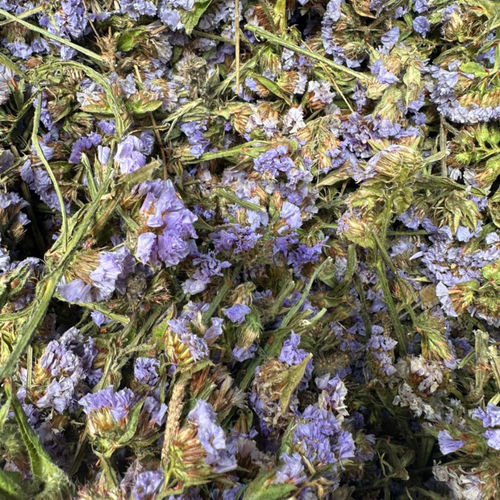 Tisane El Handabae – Chicorée Séchée Naturelle - nilabeautys.com