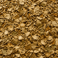 Tisane Myrte Feuille Entière – Myrtus communis Naturelle - nilabeautys.com