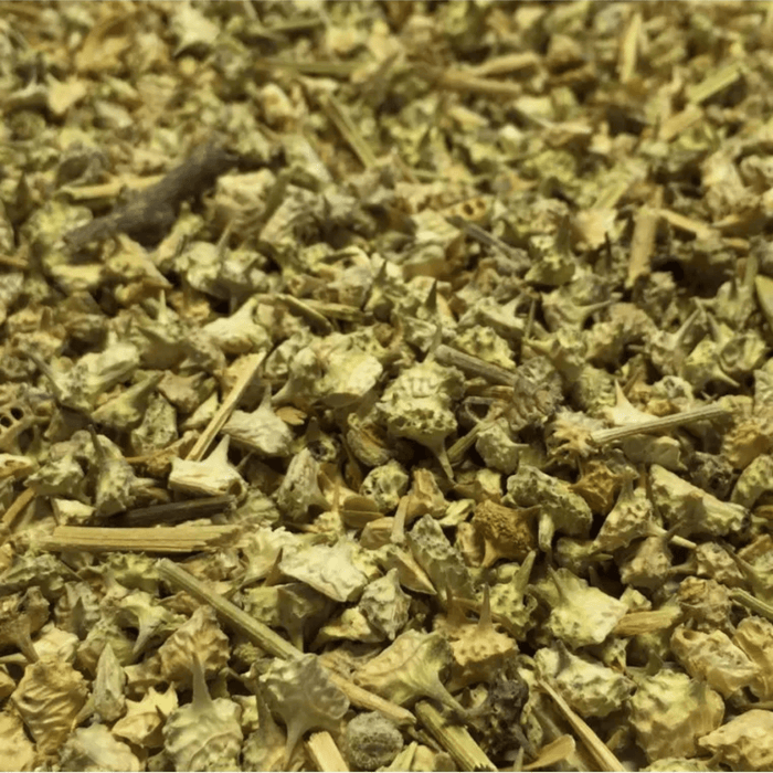 Tribulus terrestris El hasska – Fruit Sec en Vrac | Tisane Naturelle - nilabeautys.com