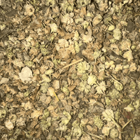 Tribulus Terrestris – El Hesska Plante Sauvage - nilabeautys.com