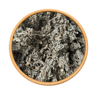 Turquette Herniaria Herrast El Hjar 50g / 100g / 200g – Plante Naturelle - nilabeautys.com