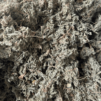 Turquette Herniaria Herrast El Hjar 50g / 100g / 200g – Plante Naturelle - nilabeautys.com