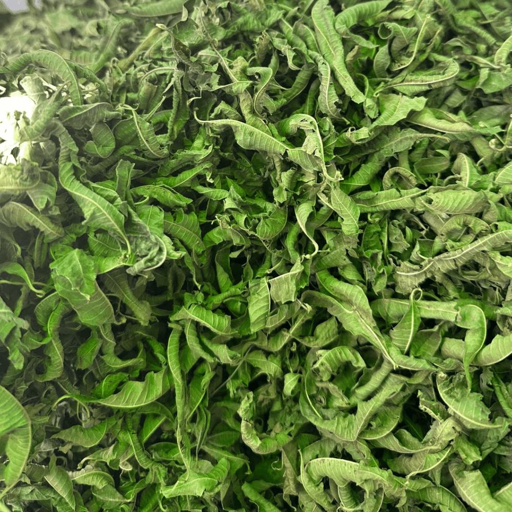 Verveine Louiza Bio 50g / 100g / 200g – Tisane Naturelle Digestive & Relaxante - nilabeautys.com