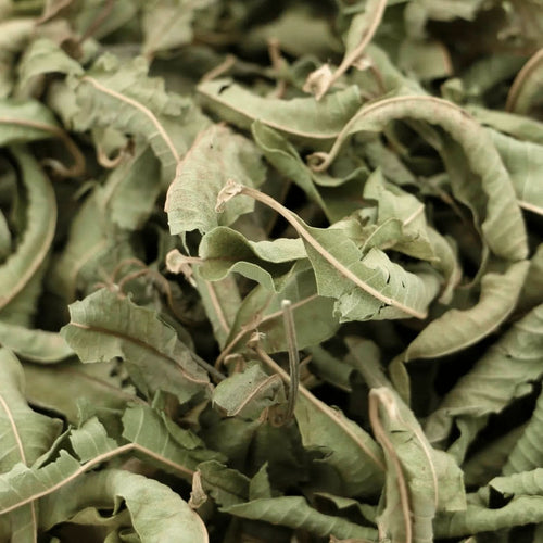Verveine Odorante 1kg - El Louisa