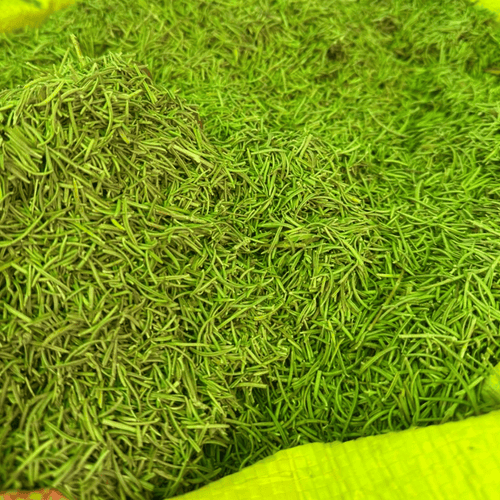 Yazir Romarin Beldi Marocain 50g / 100g / 200g – Plante Naturelle - nilabeautys.com