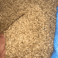 Zroda Mahaleb – Graines de Mahaleb Aromatiques - nilabeautys.com